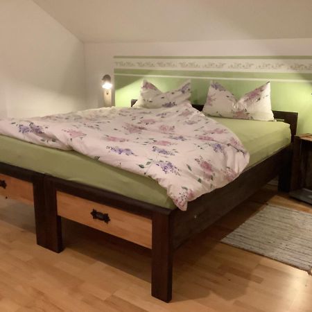 Gemuetliche, Grosszuegige Ferienwohnung ザルツハウゼン エクステリア 写真