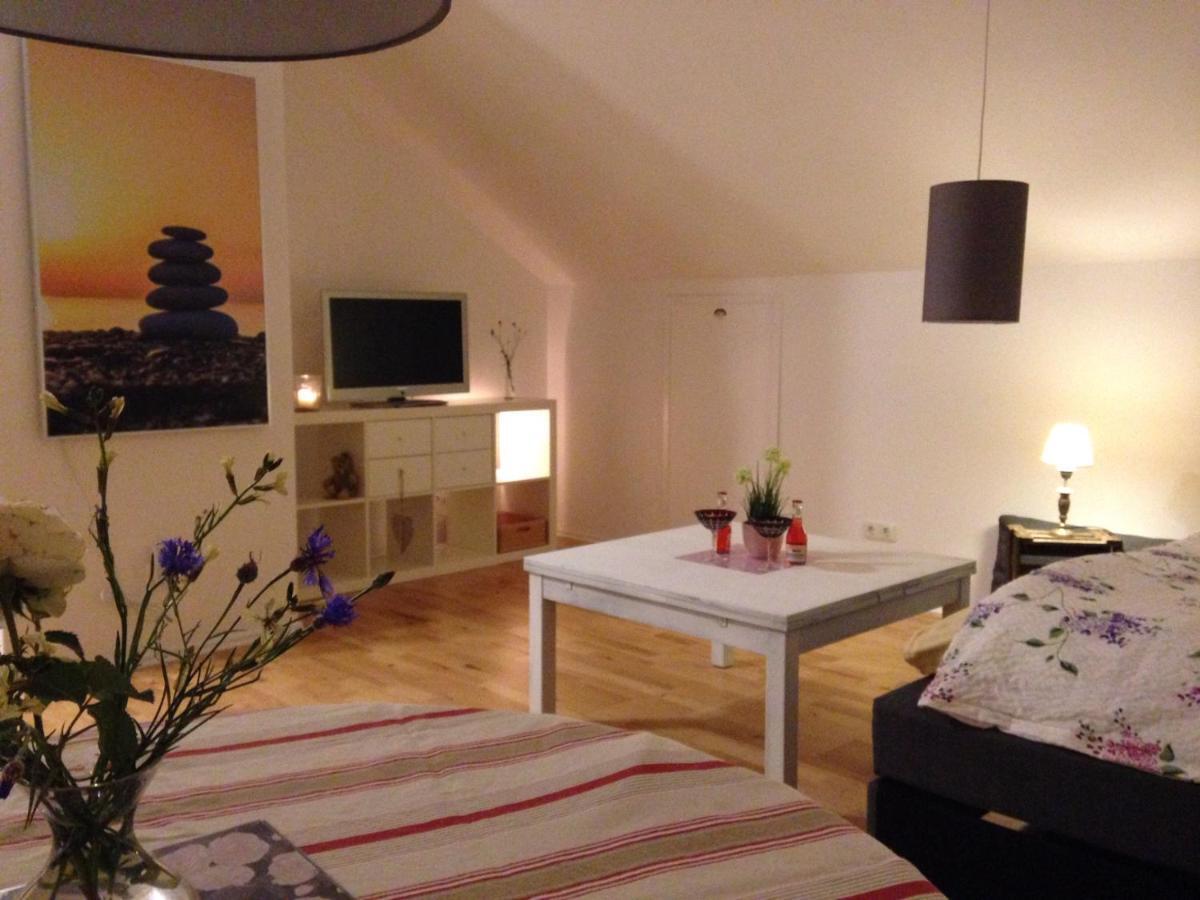 Gemuetliche, Grosszuegige Ferienwohnung ザルツハウゼン エクステリア 写真